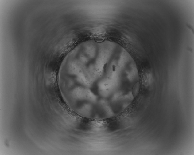 X0000100880711200807111342