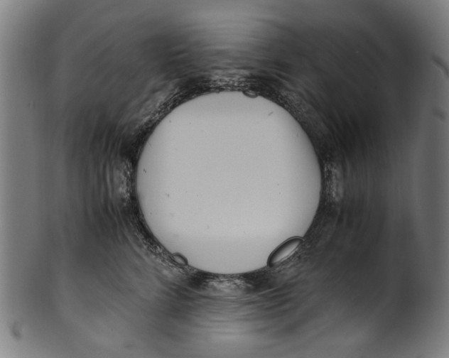 X0000100880712200807111342