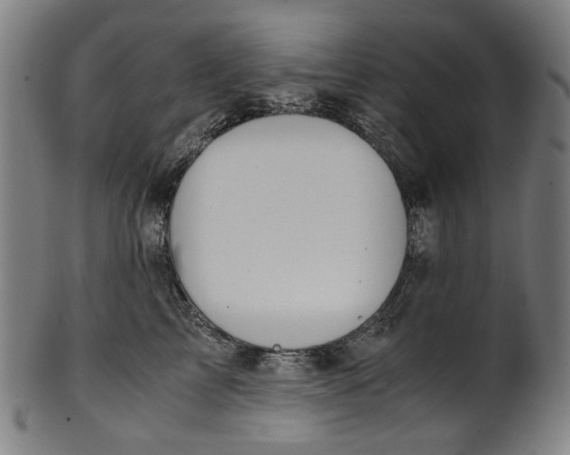 X0000100880713200807111342