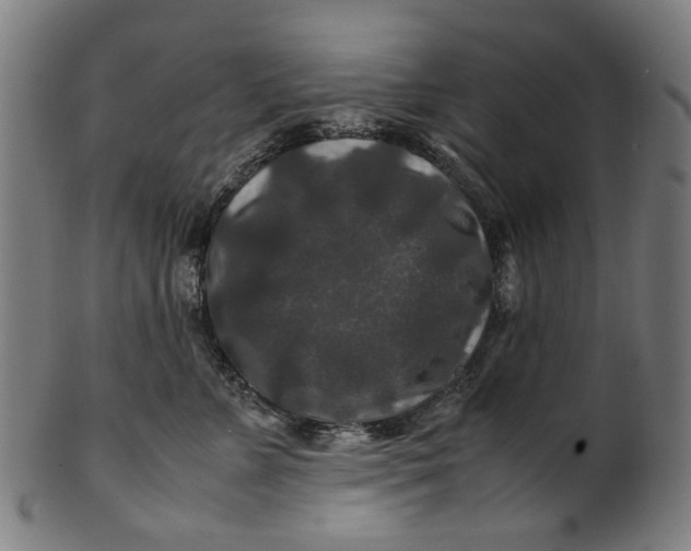 X0000100880715200807111342