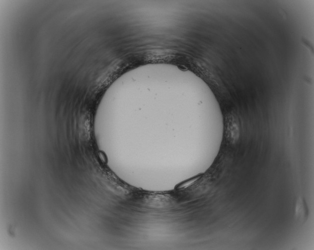 X0000100880716200807111342