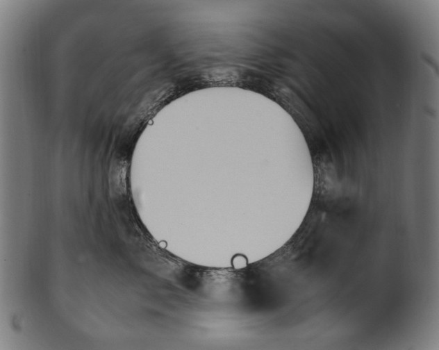 X0000100880717200807111342