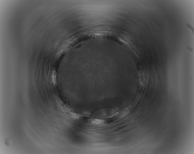 X0000100880718200807111342