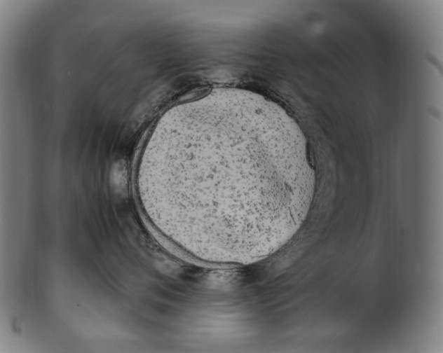 X0000100880720200807111342