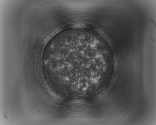 X0000100880721200807111341