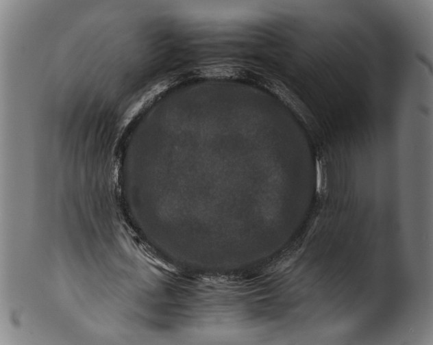 X0000100880723200807111341