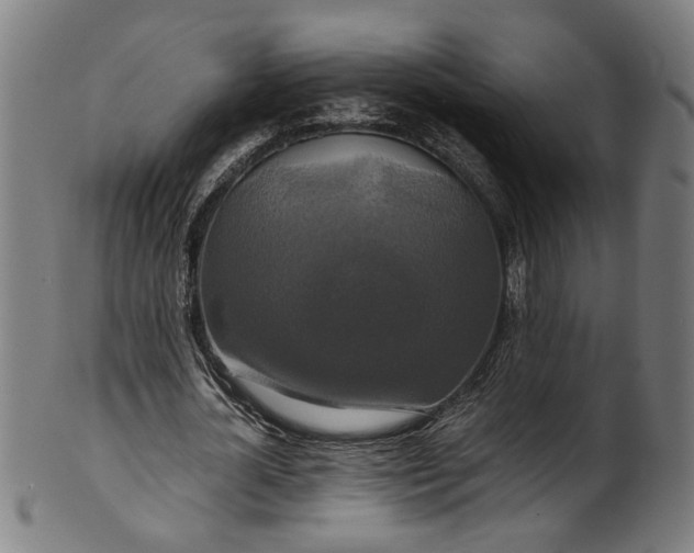 X0000100880724200807111341