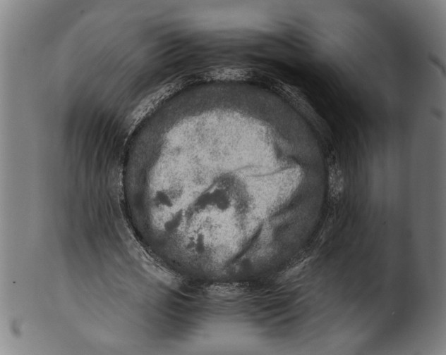 X0000100880725200807111341