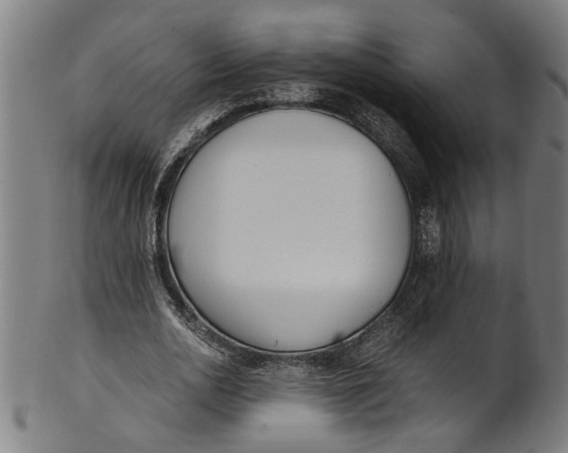 X0000100880726200807111341