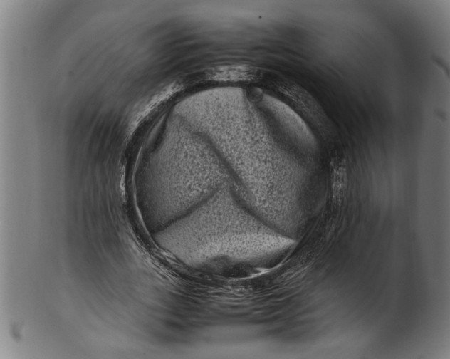 X0000100880727200807111341