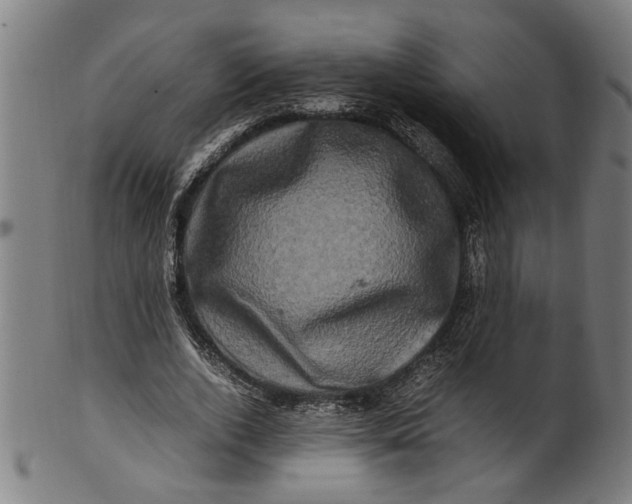 X0000100880728200807111341