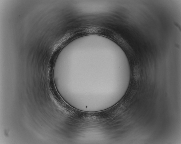 X0000100880730200807111341