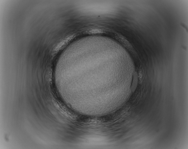 X0000100880732200807111341