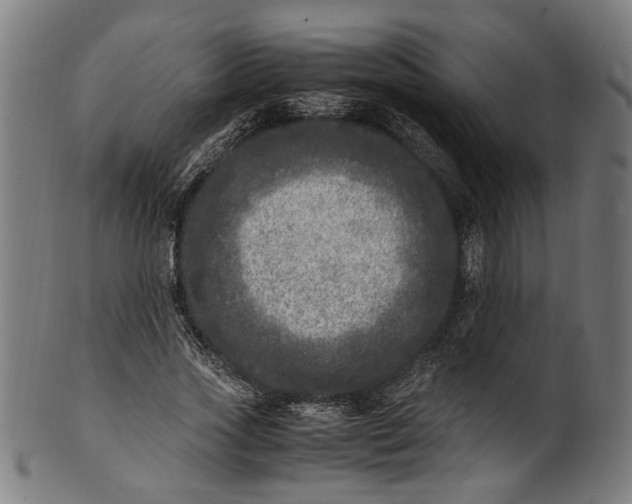 X0000100880733200807111341