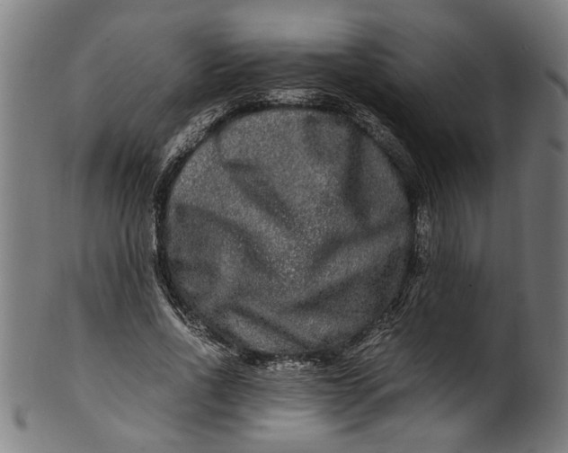 X0000100880734200807111341