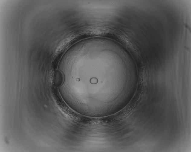 X0000100880736200807111341