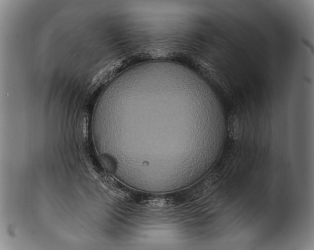 X0000100880740200807111342