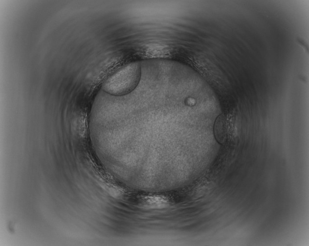 X0000100880741200807111342