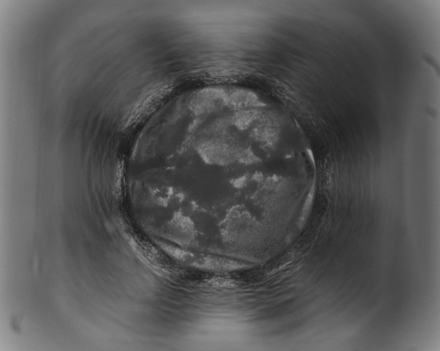 X0000100880742200807111342