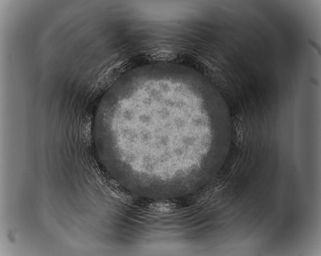 X0000100880745200807111342