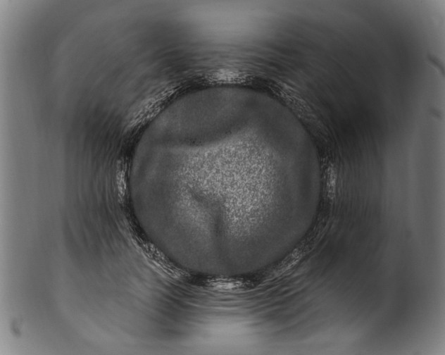 X0000100880746200807111342