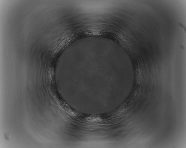 X0000100880747200807111342