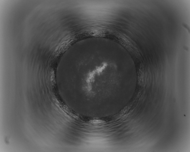 X0000100880748200807111342