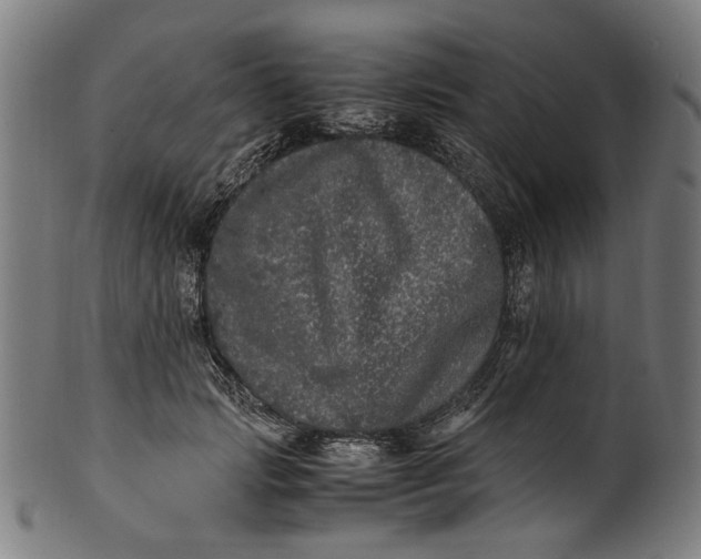 X0000100880749200807111342