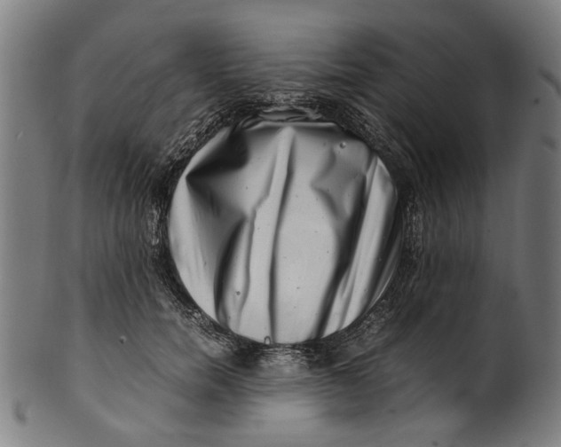 X0000100880750200807111342