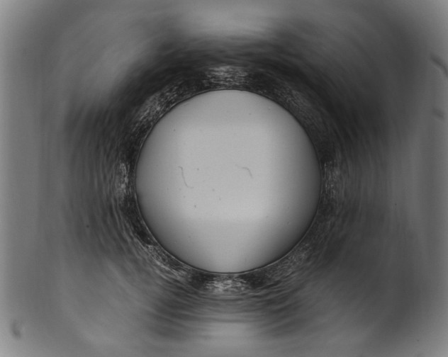 X0000100880752200807111342