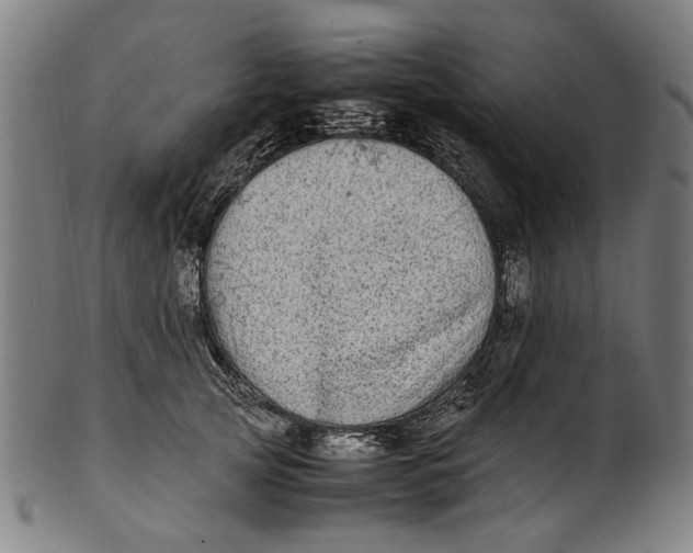 X0000100880753200807111342