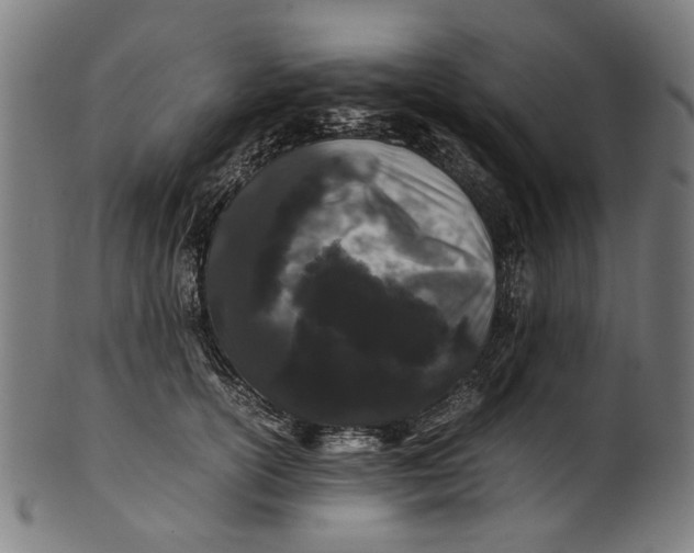 X0000100880754200807111342