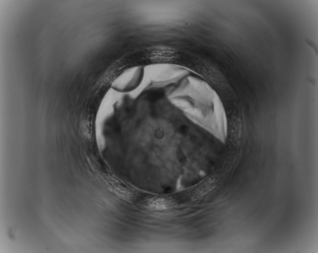 X0000100880755200807111342