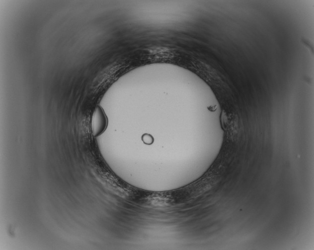 X0000100880756200807111342