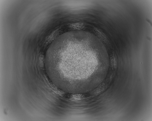 X0000100880757200807111342