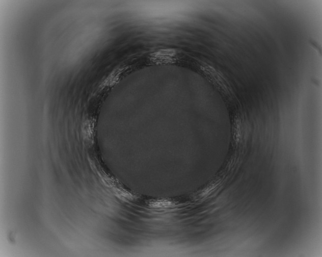 X0000100880759200807111342