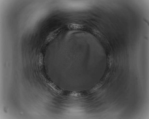 X0000100880760200807111342