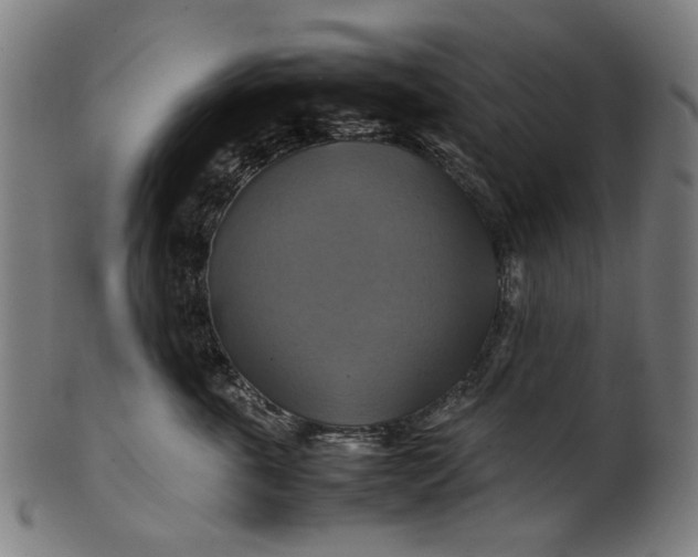 X0000100880763200807111342