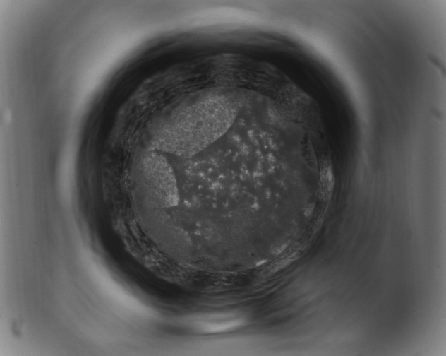 X0000100880765200807111342