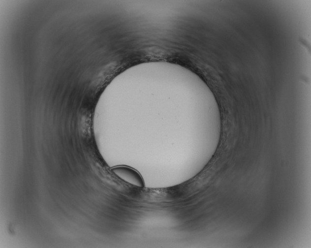 X0000100880768200807111342