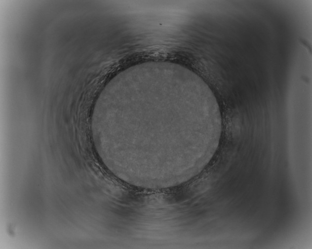 X0000100880769200807111341