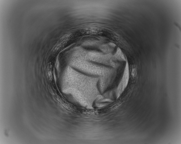 X0000100880771200807111341