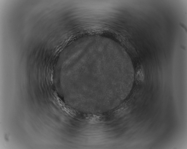 X0000100880772200807111341