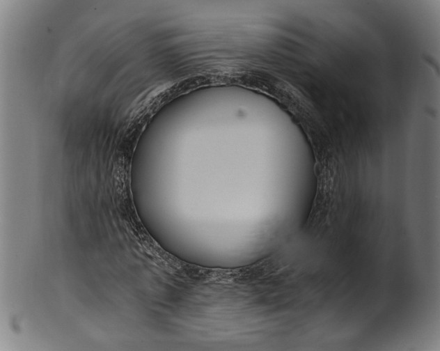 X0000100880773200807111341