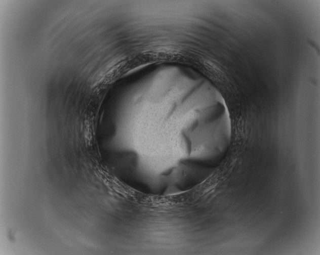 X0000100880774200807111341