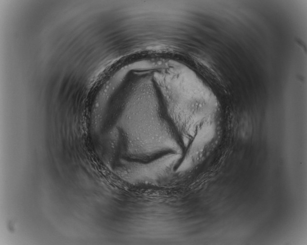 X0000100880776200807111341