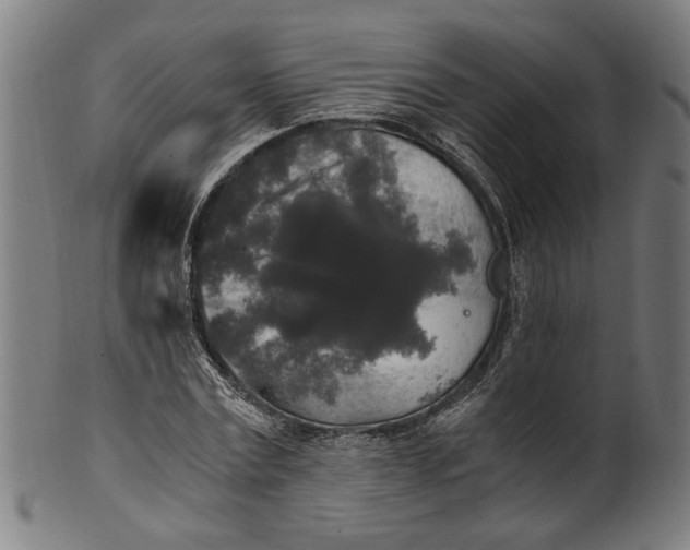 X0000100880779200807111341