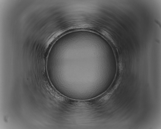 X0000100880781200807111341