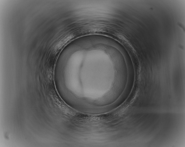 X0000100880785200807111341