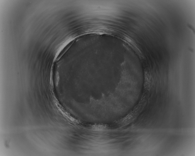 X0000100880788200807111341